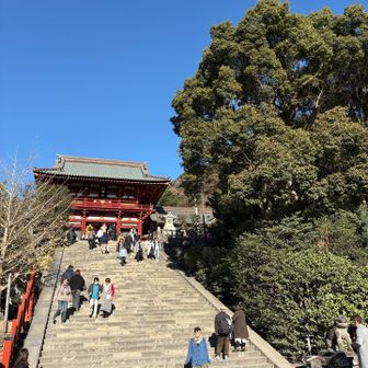 鶴岡八幡宮参拝ゴール⛩️ホッ😌