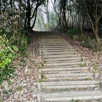 日の出ポイントのマイナーピークへ🏃‍♂️