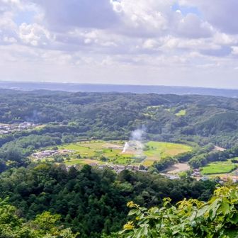 金毘羅神社鳥居からの巾着田