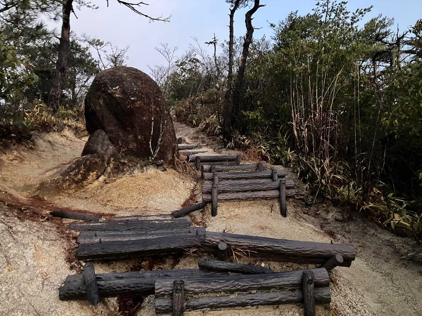 アクロバティックな階段を楽しめます🥳