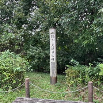 防人見返りの峠というそうです。