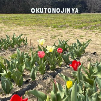 🌷春だなぁ☘️

ちょい遠出したlunchこの後
美味しくいただきました🍽️
春爛漫の山を楽しみに又来ます😊
ありがとうございました( ᴗ ̫ᴗ )