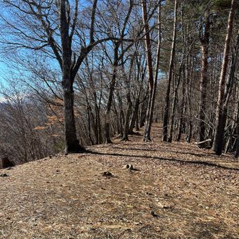 陽当たり良く開けた山頂。ベンチでモグモグタイム。寒かったのでカップ麺と、おにぎりを食べ下山した。