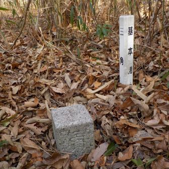 片山三角点

ここから善応寺山は遠いけど
休憩なし