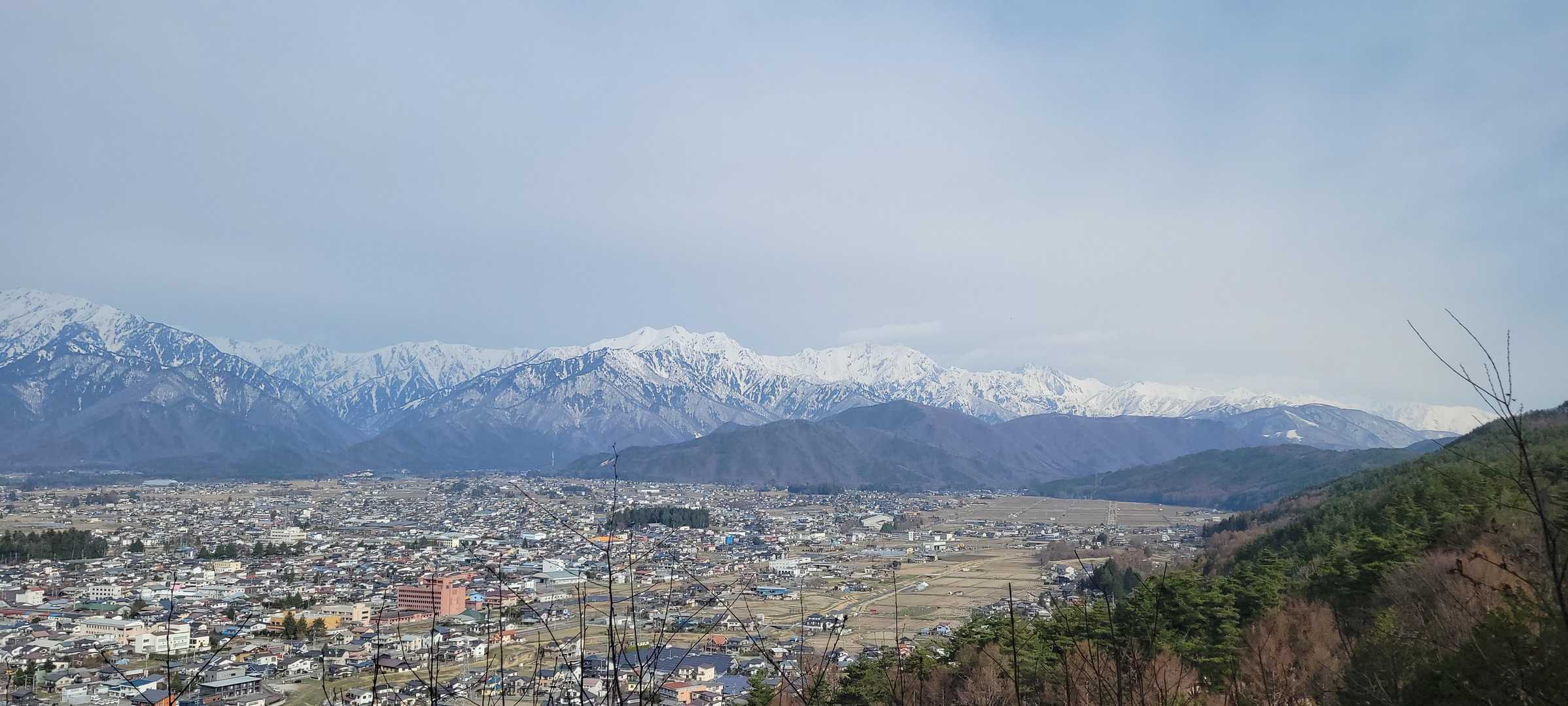 今朝は曇り