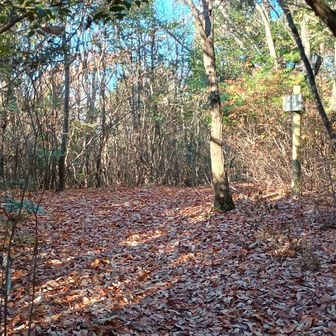 ふたたびの住吉山です