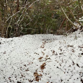 この辺りが1番雪が多かった。