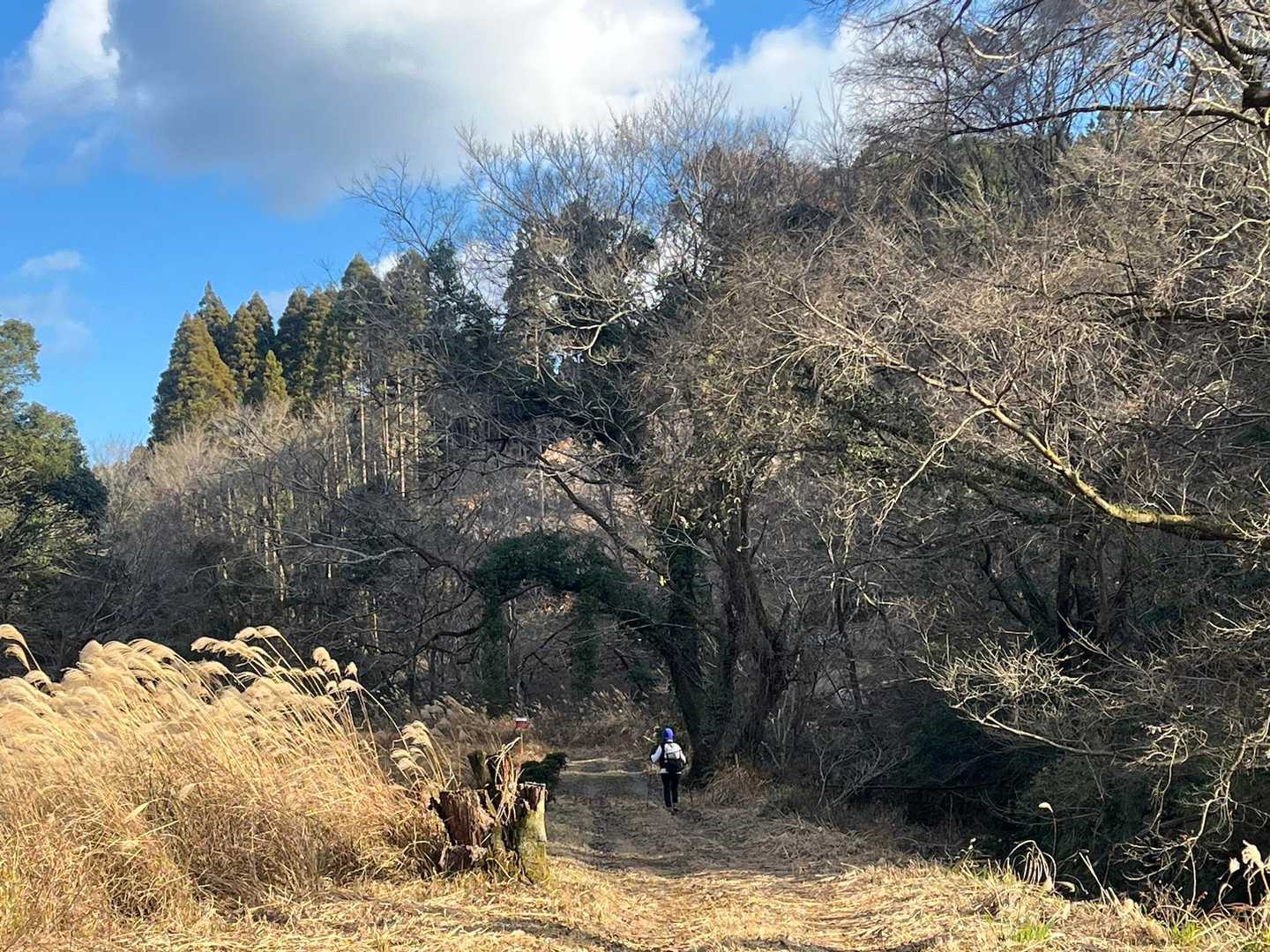 今日は肌寒いけど、宮崎は晴れてます☀️