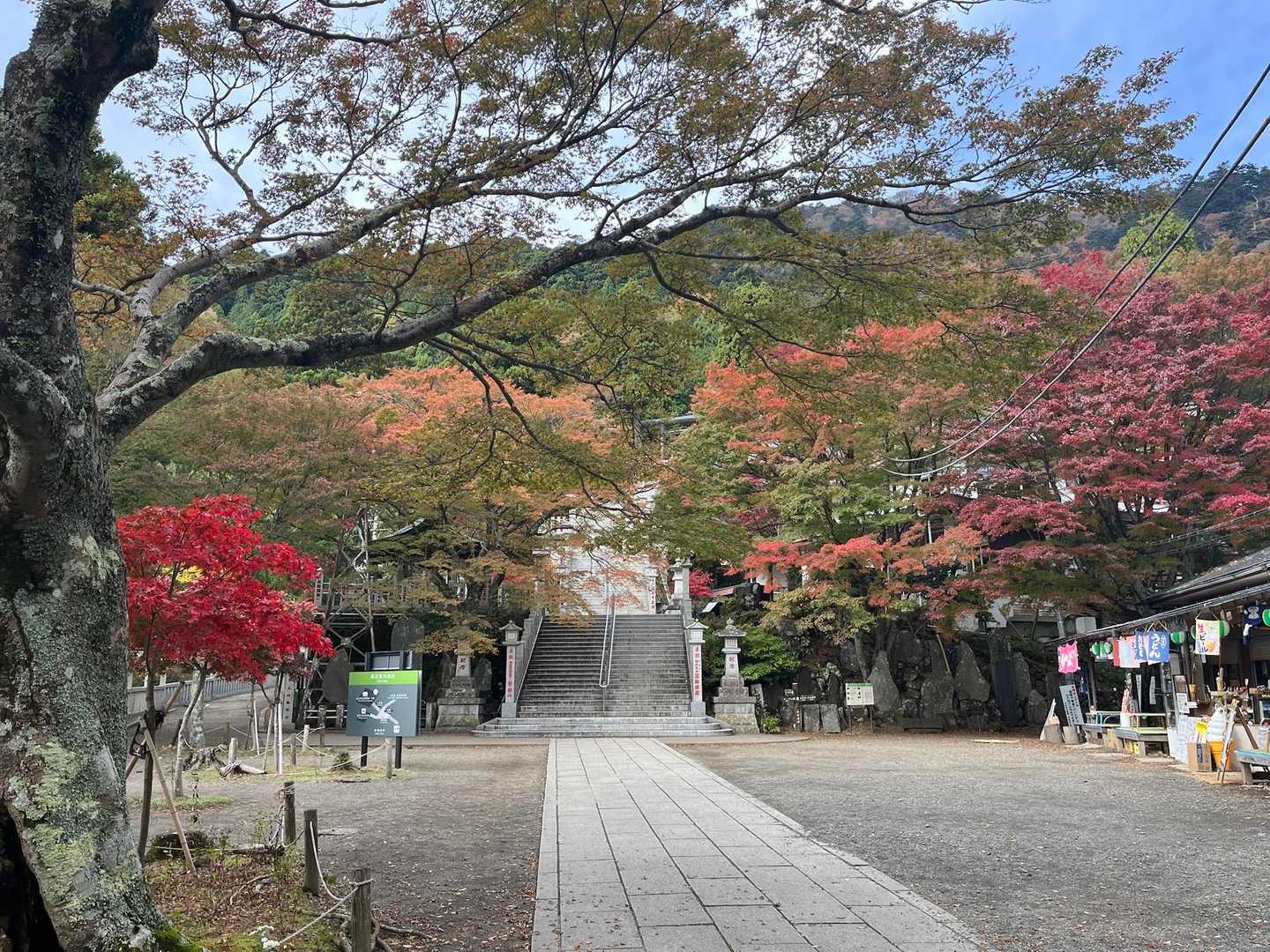 さくらやさん前
だいぶ進んでます🍁