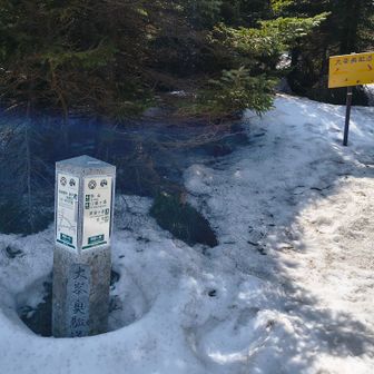 明星ヶ岳、八経ヶ岳の分岐点。明星ヶ岳にも寄ります