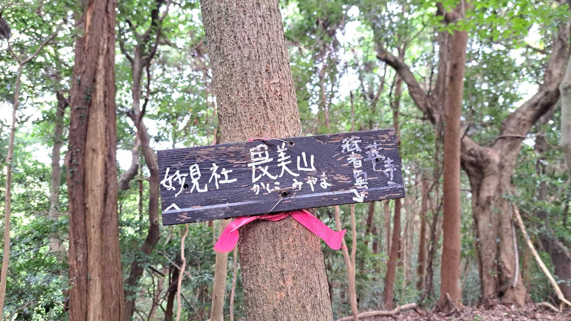 畏美山登頂⛰️2座