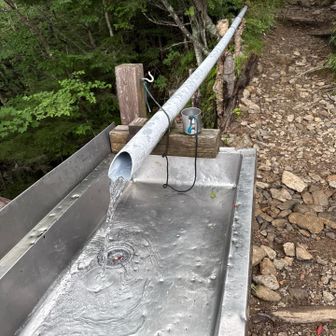 仙水小屋の水場
水がとても美味しかったです