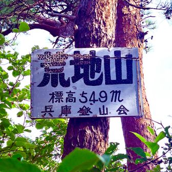 あれ？
なんか低い位置に変わってない？

以前は はてしなく高い木の上についてて、
あんな上までだれも見ぃひんわ！みたいなことつぶやいてたのに