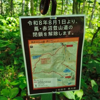 途中の分岐、YAMAPでは立入禁止ですが、現在は登山可です。
地元の方曰く、件の熊を排除できたので通行可になったとの事でした。