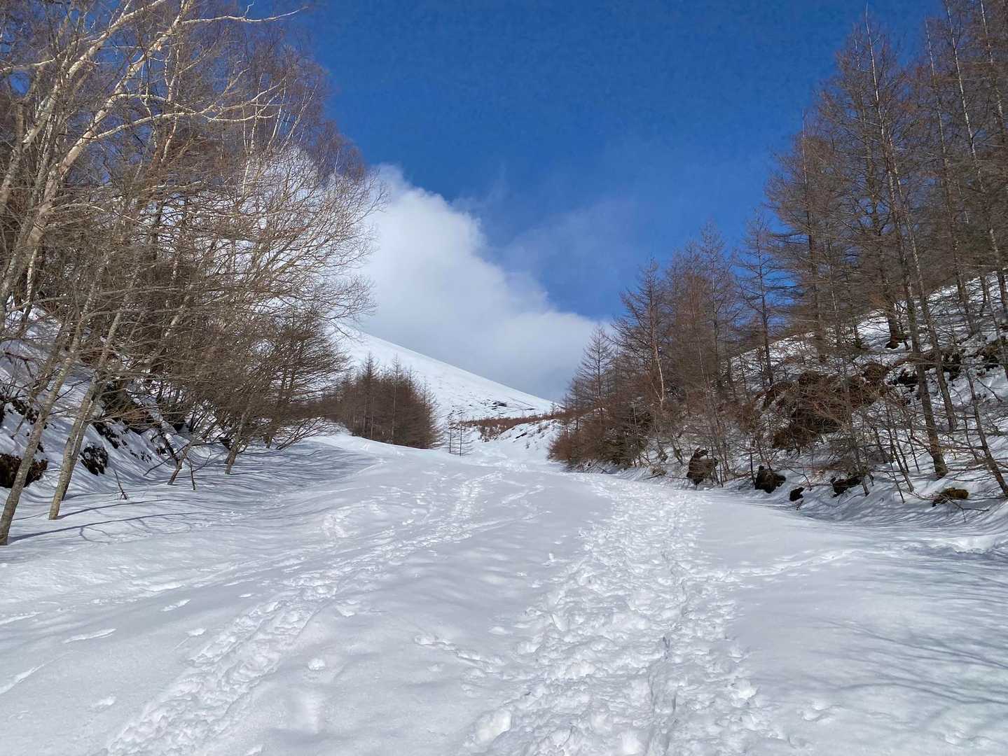 谷から登っていくと、富士山…