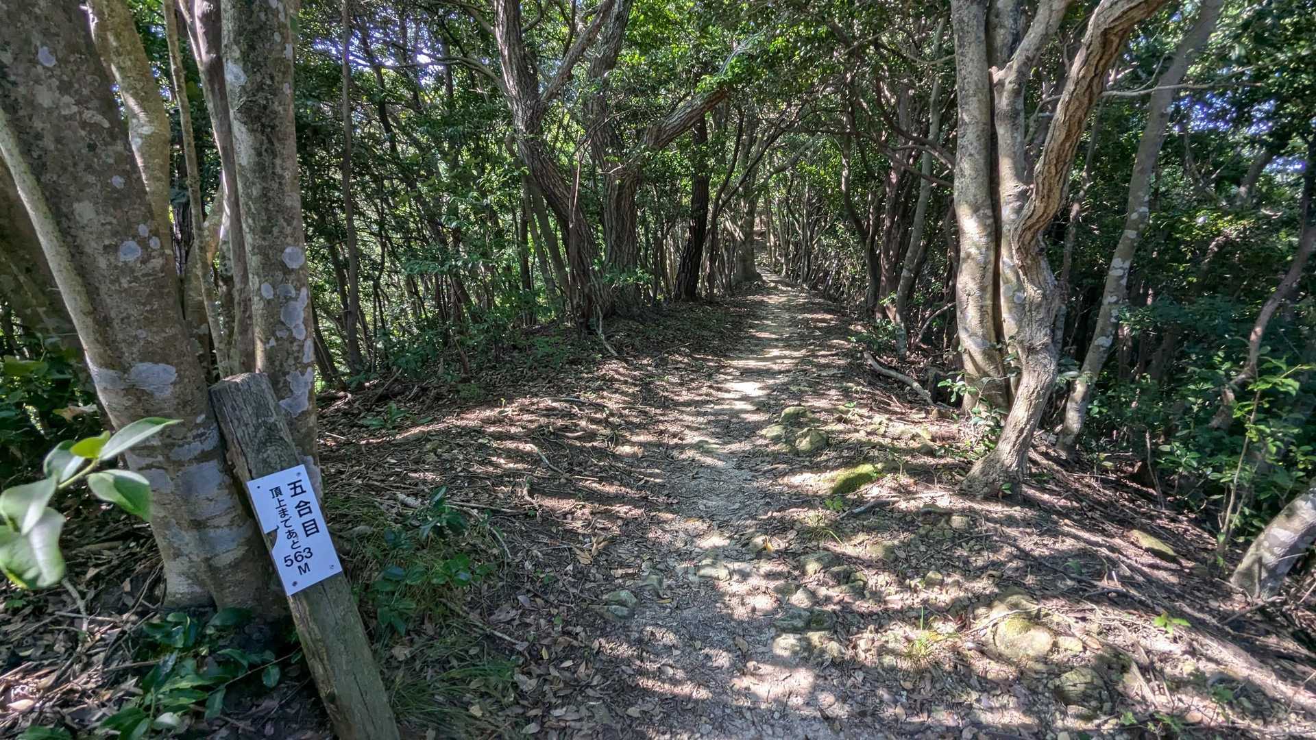 五合目
道成はよく歩きやすい