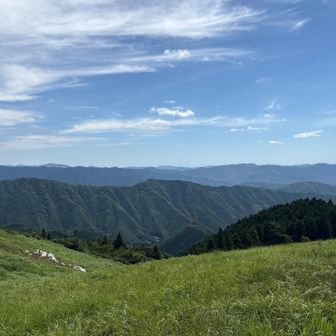 お盆休みだからなのか人は非常に多かったですね🧐