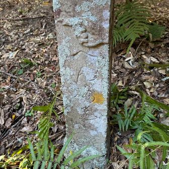 手やり石かわいいね