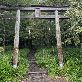 雨なので最初で最後の写真鴨とか言って撮った登山口の写真