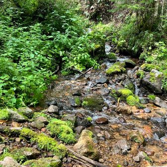 最終水場で水分補給（浄水必要です）