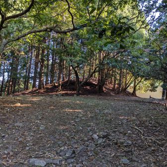 正面の盛り上がった林の中に山頂があるのだか、標識が無くかなりわかりにくい。
