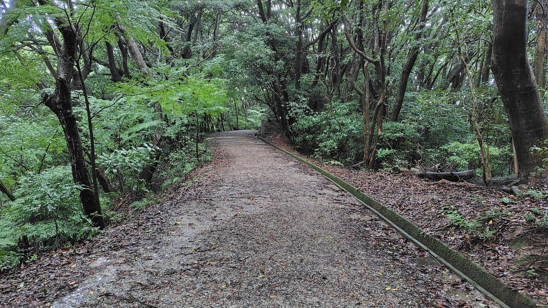 下り道