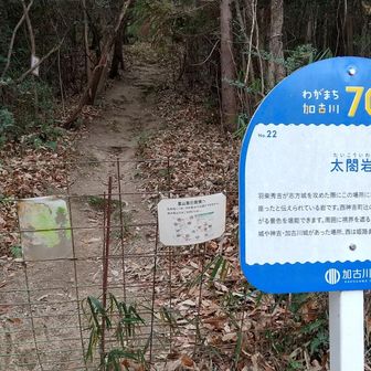 辻登山口に下りてきました、あとはテクテク宝殿駅まで🚶
今日も無事に感謝しお疲れ山でした😅