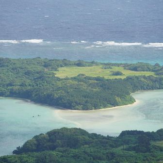 湘南美容外科の院長の島🏝️