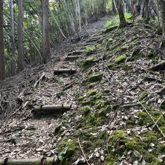 北近畿ベスト３には入る急登です 知らんけど
観光気分では無理です💦