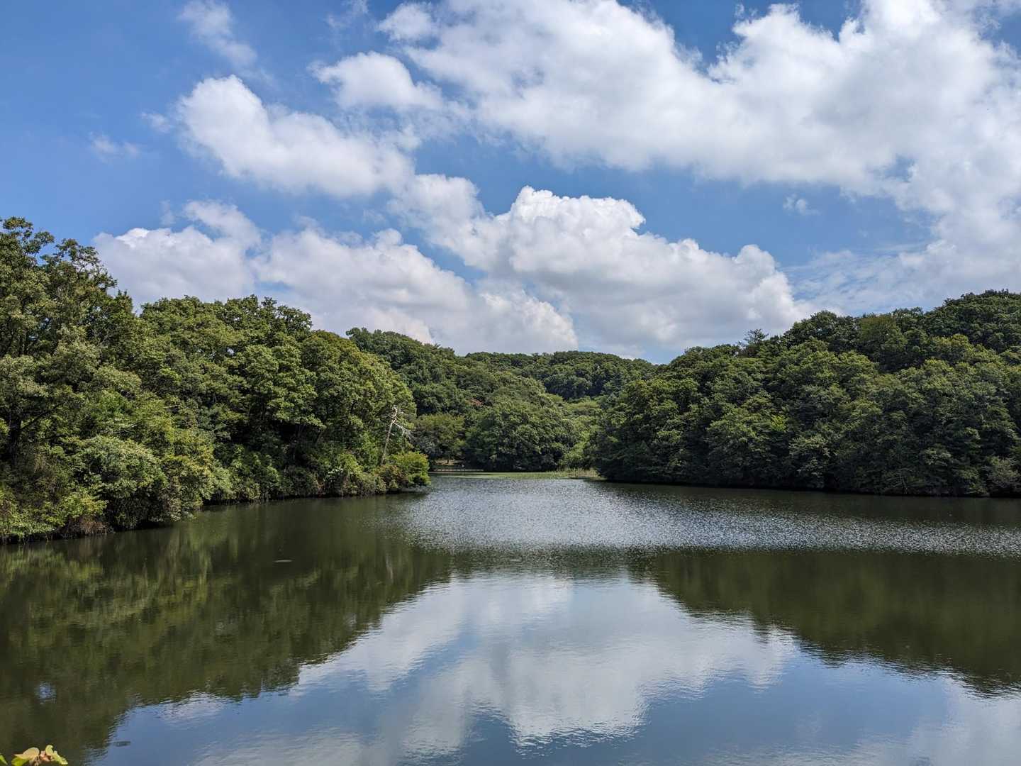 国見山登り口-交野山登り口-交野山 往復コースの写真