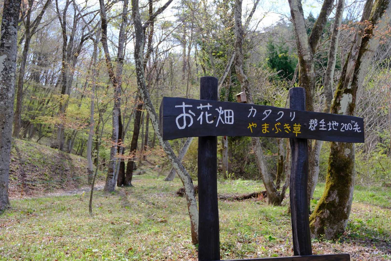お花畑コースでスタート▶️