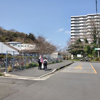 人気のないJR田浦駅で今日は終わり。行動距離16.7km、6時間30分でした。