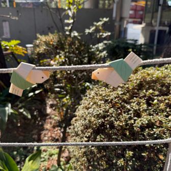 鳩が飛んでいるみたい🐦