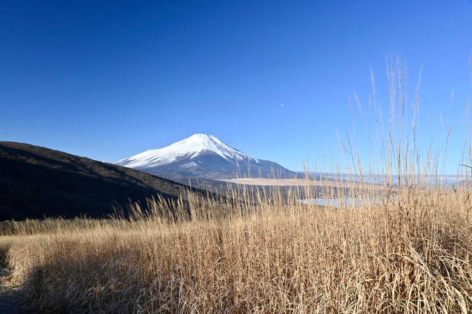 振り返ると富士山と山中湖。