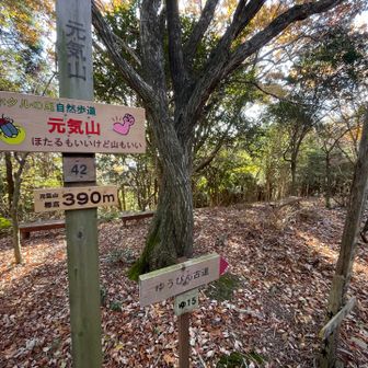 ゆうびん古道、ゆうびん屋さんが歩いてた道なんでしょうね