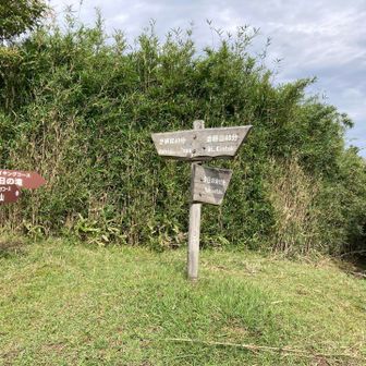 本日は、登山道がやっと修復されていた、右のコースで下ります
何年ぶりだろ？！10年ぶりくらいかも