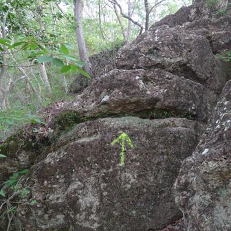 矢印があると安心しちゃう。