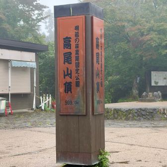 (復路)高尾山山頂に戻ってきた～🙌