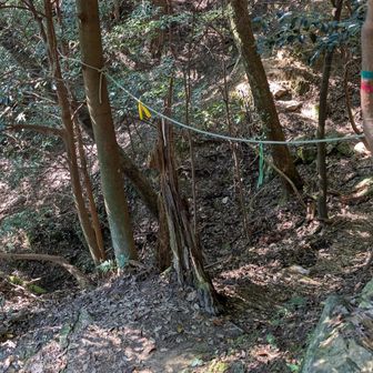 『長等山』への案内板まで下りる。
ロープがある。ここをくぐって進む。