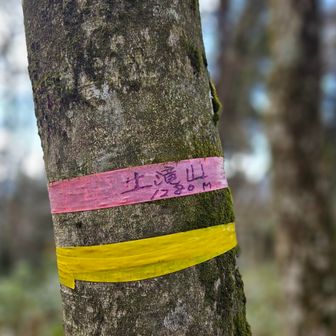 行きに見落としたやつ