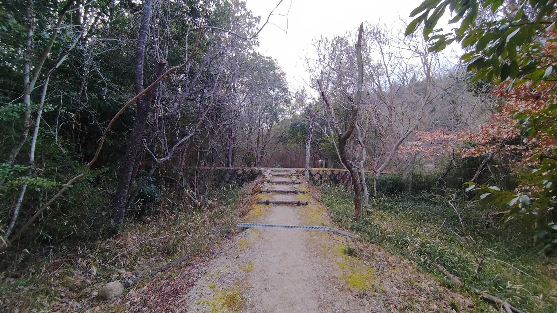 6時にスタートして、砂川公園を超えて、鬼ノ城へ向かう遊歩道。
この道好き。