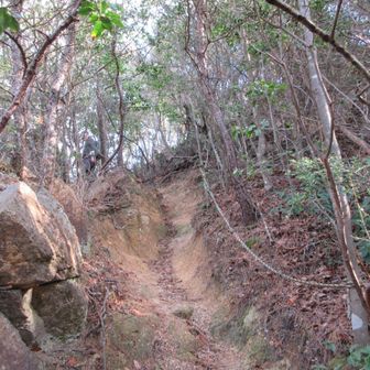 急斜面を上りきるとガベノ城