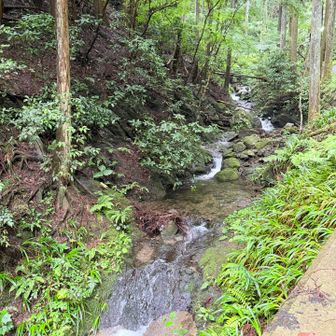 夏場はよい日陰