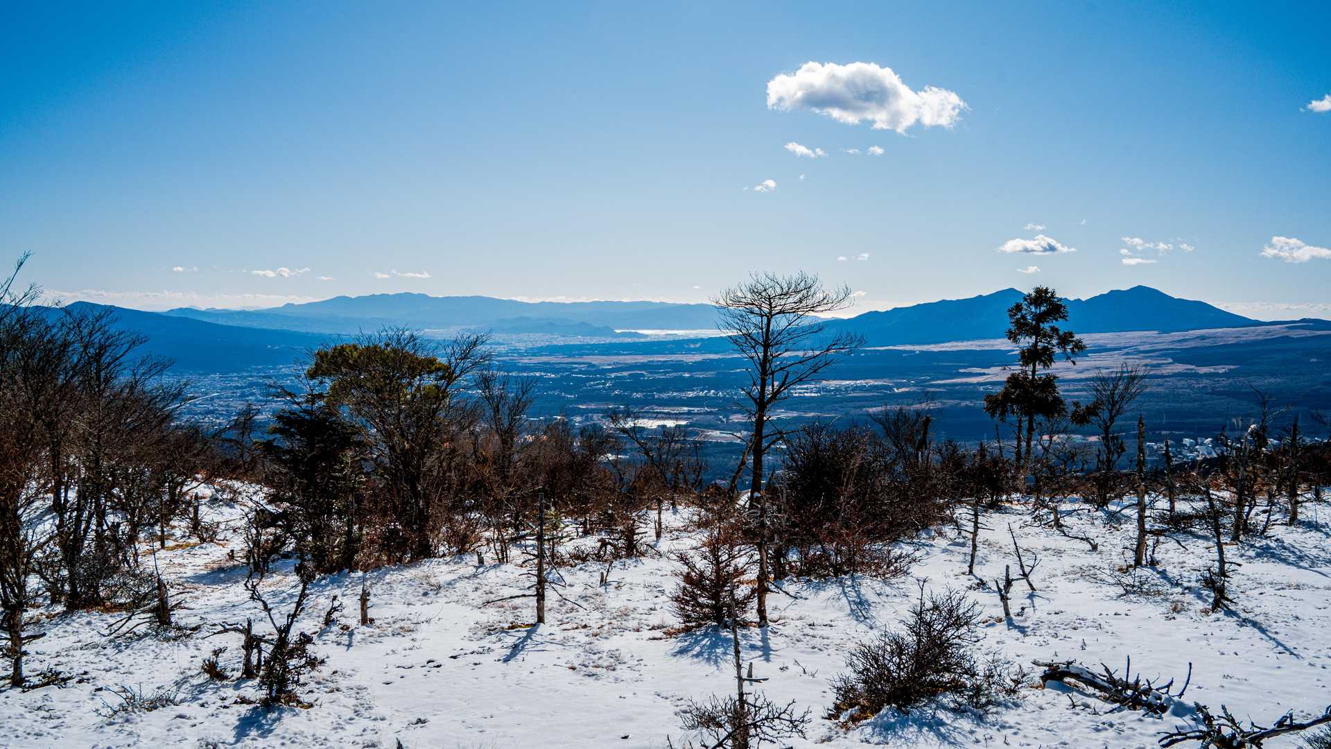 畑尾山-アザミ平 周回コースの写真