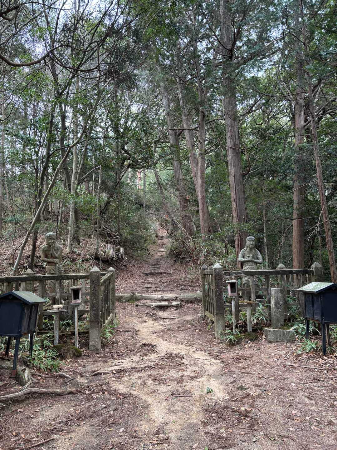 不動寺-太神山 往復コースの写真