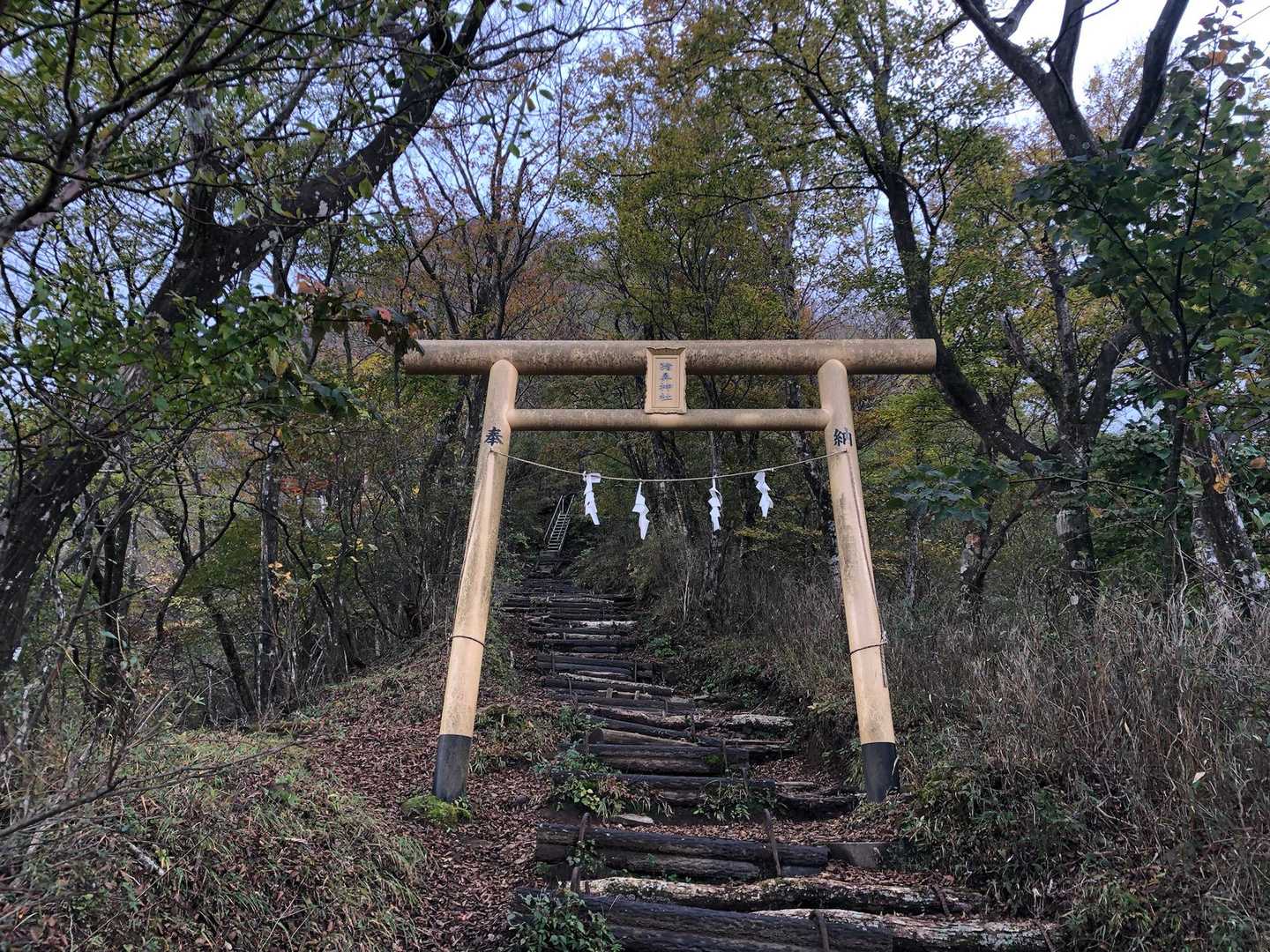 平坦な道をダラダラ歩き、階段地獄がはじまります。ゴールまでずっと階段です