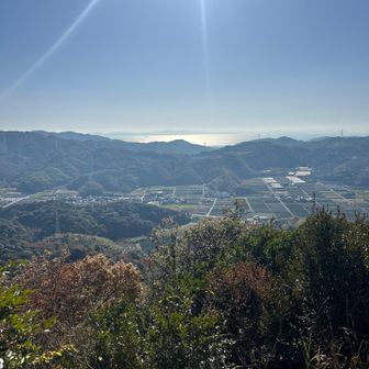 三河湾キラキラ🤩