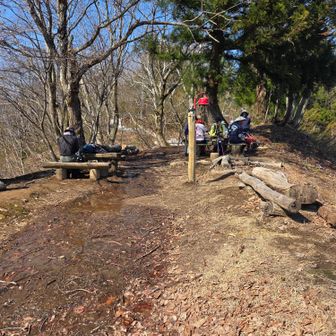 観鋸台
雪の冬から、花の春に戻ってきた！