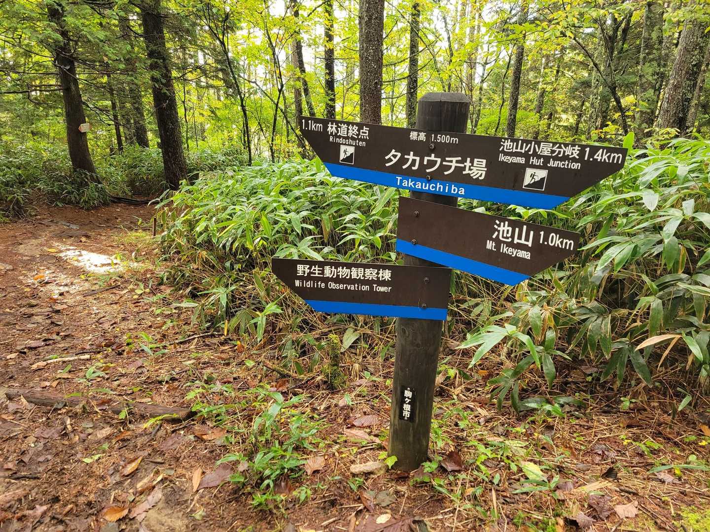 タカウチ場到着
池山に登るか巻くかの分岐点です👈👉
もちろん新ピーク取ります！
体力温存しときたいとこですが、帰りだと嫌になりそうなので先に登っておきます💪✨