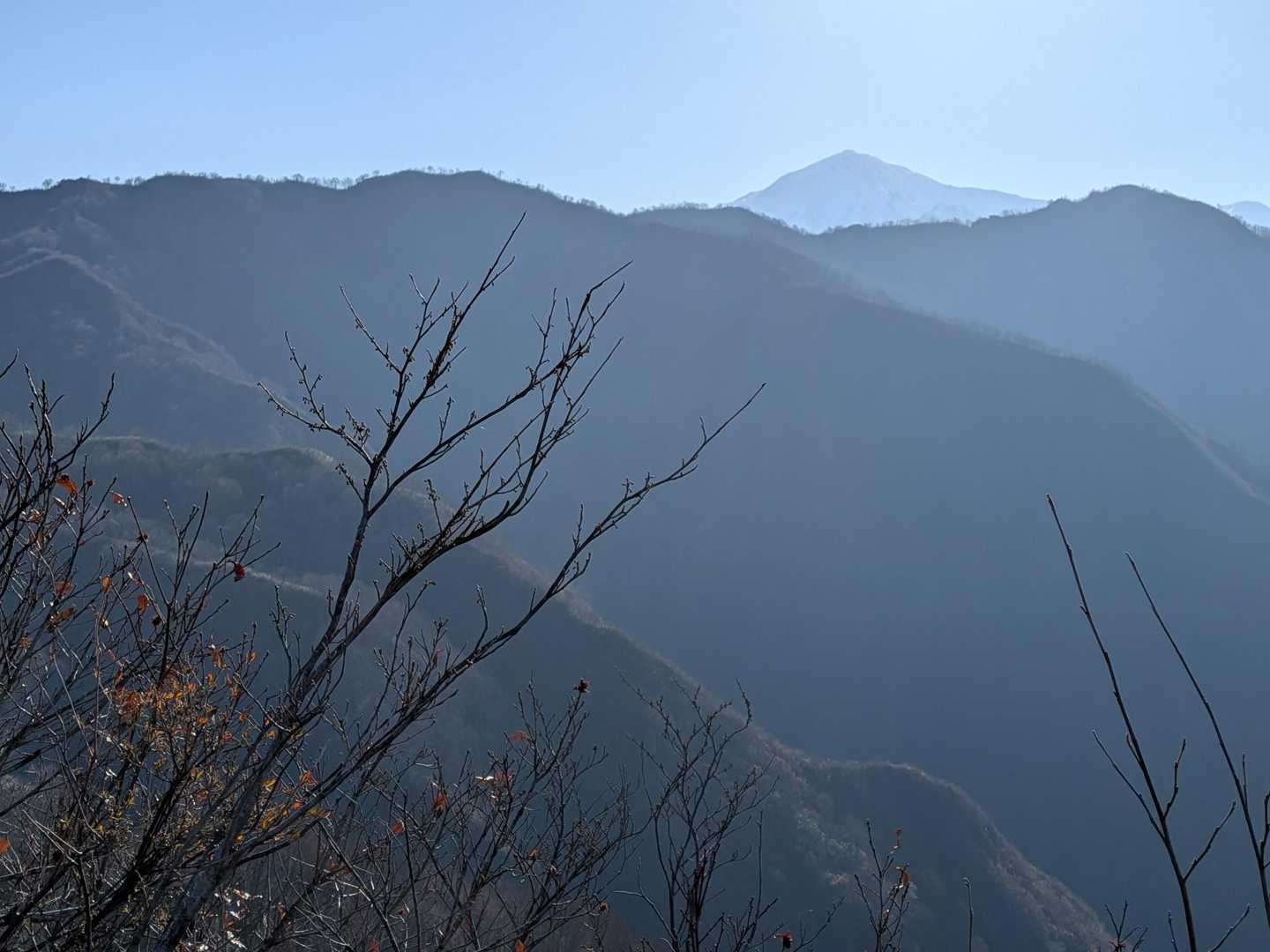 大力山-黒禿の頭-笠倉山 往復コースの写真